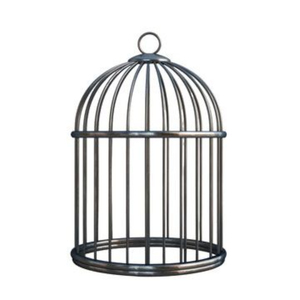 Cage à oiseaux ronde en fil de fer avec cadre métallique décoratif, style classique, suspendable, pour usage intérieur, couleur unie - Product Image 1