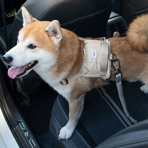 Cinturón de Seguridad para Perros con Gancho Giratorio, Venta al Por Mayor - Product Image 3