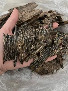 Proveedor de Oud AZ, Chips de Oud AA+ de Primera Calidad, Agarwood Apari, Precio Directo de Fábrica para Uso en Incienso y Perfumes - Product Image 2