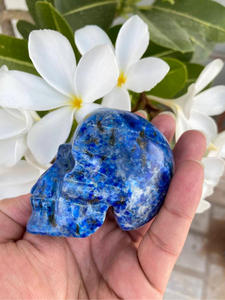 Calavera de Lapislázuli Natural Tallada a Mano |   Escultura de Calavera de Cristal con Gema Azul |   Proveedor Mayorista de Decoración Gótica - Product Image 4