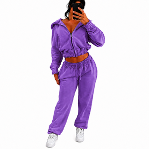 Ensemble sweat à capuche court brodé zippé et pantalon de survêtement long en molleton 100 % coton de couleur unie pour femme - Product Image 1