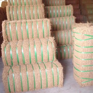 Fibra de Coco Larga y de Baja Humedad para Fabricación de Colchones en Fardos de 120 KG, Fibra de Coco Ecológica de 75 cm en Venta - Product Image 4