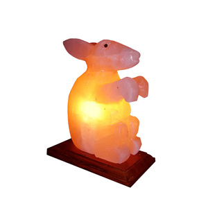 Lámpara de Sal del Himalaya, Artículo de Regalo de Primera Calidad, Proveedor de Exportación, Precio Competitivo y Entrega Rápida - Product Image 1