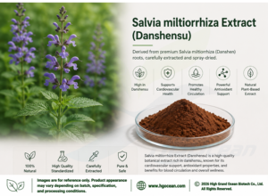 Approvisionnement direct usine HGO de poudre d'extrait de racine de Salvia Miltiorrhiza pure et naturelle (qualité alimentaire) avec 5% de Danshensu - Product Image 2