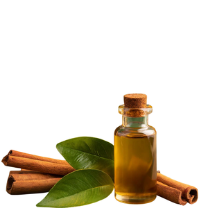 Aceite Esencial de Canela de Estándar Internacional Hecho en Vietnam en Botella, en Oferta - Product Image 1