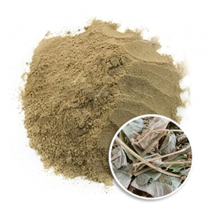 Top Selling Crinum Latifolium Herbal Powder Natural Plant Based <b>Raw</b> <b>Material</b> Aluminum Foil Bag <b>Packaging</b> - Product Image 1