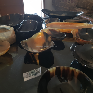 Meilleures ventes : Plat à épices jetable en bois naturel avec cuillère en bois d'ox et bol en bois de buffle pour servir des fruits et des salades lors de fêtes, en provenance d'Inde - Product Image 2