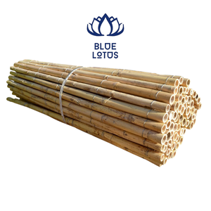 Poteaux en bambou durables de qualité supérieure, best-sellers, de qualité premium, écologiques, pour le soutien des plantes agricoles, en vrac - Product Image 1