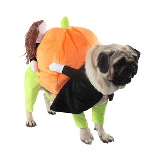 Zucca Mon Halloween Pet Dog Costume graziosi vestiti per animali domestici per il tuo amico peloso - Product Image 1