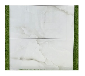 Antideslizante Nuevos azulejos 60x120 Color Revestimiento de pared Villa Brillo y acabado mate Casa y apartamento Azulejos indios para pared a bajo precio - Product Image 3