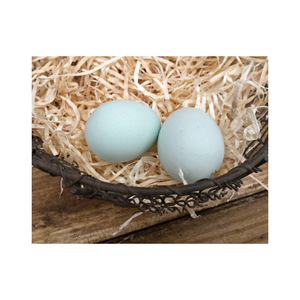 Œufs de poule blancs biologiques frais, prix compétitif, vente en gros, œufs de poule de table frais de la ferme - Product Image 1