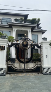 Porte double en fer forgé de luxe, porte extérieure moderne, forgée à la main, pour cour, hôtel, villa, conception personnalisée CAD, modélisation 3D - Product Image 3