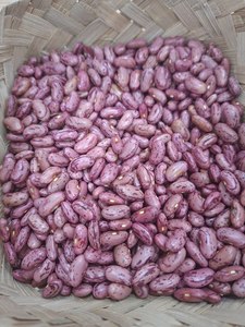 Frijoles Rojos Premium 10000g Almacenamiento Hermético 1 Año de Duración - Product Image 2