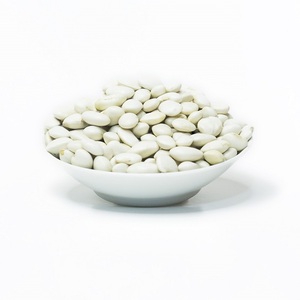 Frijoles Blancos Grandes de Primera Calidad, 10 kg, Secos, Crudos, Altos en Proteínas, para Restaurantes, Hoteles y Uso Doméstico, Entrega Rápida - Product Image 1