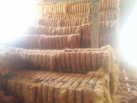 Corde en fibre de coco naturelle en gros, corde en fibre de coco, fil de coco pour le filage, écologique, emballage en vrac OEM