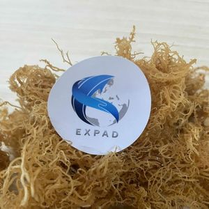 Musgo de mar de etiqueta privada musgo irlandés orgánico Eucheuma Cottonii Vietnam a granel OEM - Product Image 5
