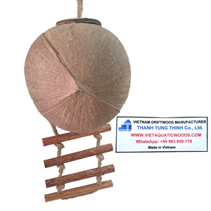 Abri pour oiseaux en coquille de noix de coco naturelle avec perchoir en bois, jouet écologique pour oiseaux fabriqué au Vietnam - Product Image 6