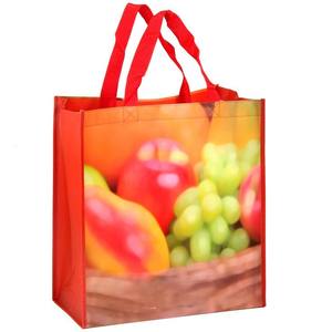 Bolsas de Compras Plegables de Polipropileno Laminado OEM/ODM, Bolsas de Tubería, Bolsas de Compras con Cremallera de Vietnam, Bolsa de Polipropileno No Tejido con Asa para el Hombro, Embalaje en Caja - Product Image 6