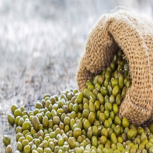 Venta al por Mayor de Frijoles Mung Verdes Orgánicos Sin OMG de Alta Calidad, 100% Puros y Naturales a Granel - Product Image 6