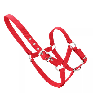 Nuevo Halter de Cuerda para Montar a Caballo del Mejor Fabricante, 6 mm de Grosor, PP de Alta Densidad, Ecológico, Ajustable para Montura Inglesa - Product Image 2