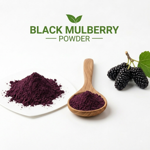 Poudre de mûre noire de haute qualité, poudre de fruits naturelle, fournisseur en gros, fabricant, exportateur, Inde - Product Image 2
