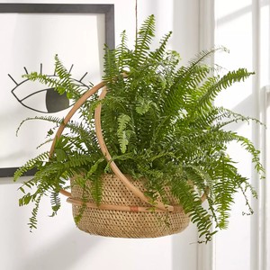 Panier porte-jardinière rond de style unique pour pots de plantes cercle rotin suspendu pot de fleur panier jardinières - Product Image 5