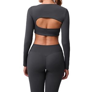 Ropa Deportiva para Mujer, Camiseta de Yoga sin Costuras de Color Sólido, Manga Larga, Top Corto para Entrenamiento, Secado Rápido, Transpirable, Conjuntos de Yoga - Product Image 2