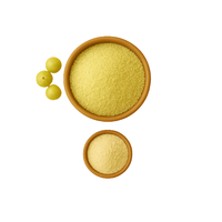 Premium gespraydroogd natuurlijk biologisch citroenfruitsappoeder, vrijvloeiend, 24 maanden houdbaarheid, zuur, goede wateroplosbaarheid, vacuüm verpakt