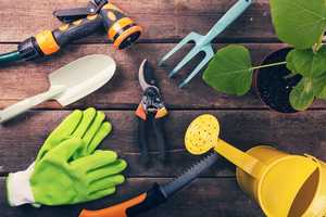 Ensemble d'outils de jardinage professionnels pour la culture de légumes et d'herbes - Product Image 4