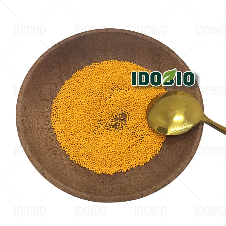 IdoBio Curcumin 95% Poudre Curcuma Perle