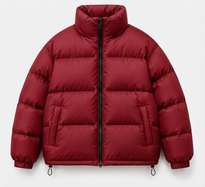 Custom Solid Color Men's Waterproof Drawstring Hem Thermal <b>Fleece</b> <b>Lining</b> Down <b>Jackets</b> Winter Warm Puffer <b>Jacket</b> 2026 - Product Image 2