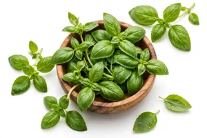 Huile essentielle de basilic doux 100% pure, distillée à la vapeur, pour l'aromathérapie, le massage corporel et les soins hydratants de la peau - Product Image 2