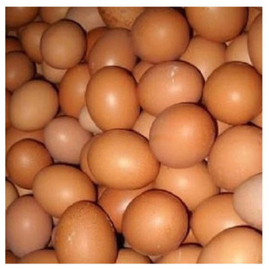ไข่ไก่สดราคาถูกขายส่งจำนวนมาก ไข่ไก่สีน้ำตาลสดจากฟาร์มขายส่ง - Product Image 2