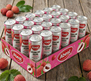 Boissons gazeuses protéinées fruitées tropicales A&B Manufacture, saveurs personnalisées, jus OEM ODM, boissons sans alcool sous marque privée - Product Image 1