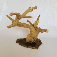 Hot Items-Vente entière de support de jeu d'oiseaux en bois de Java de haute qualité pour les animaux de compagnie perroquets
