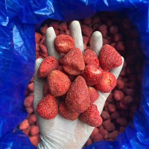 Fabricant vietnamien de fraises lyophilisées, collations naturelles et saines, vente en gros, exportation d'usine, qualité supérieure - Product Image 1