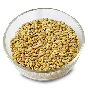 100% Malt <b>Barley</b>, Hulled <b>Barley</b>, Pearl <b>Barley</b> For Sale Animal Feed and Human / <b>Barley</b> Malt - Product Image 1