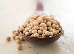 100% <b>Soybeans</b> 50kg PP Bag Unprocessed Pure Oil Extraction Bulk Farming Cooperative 12 Months Shelf Life Food Cheap price - Product Image 2