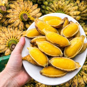 BANANO SABA CONGELADO - LA FRUTA ESPECIAL DE VIETNAM - FRUTA TROPICAL TAN DELICIOSA, BANANO IQF PARA EXPORTACIÓN, SABOR NATURAL DULCE/ SRA. ALINA - Product Image 2