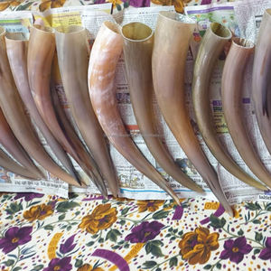 ฮอร์นบูลขนาดใหญ่สำหรับตกแต่งบ้าน - Product Image 2