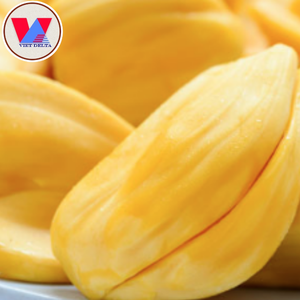 ขนุนแช่แข็ง-ออร์แกนิคสดใหม่ ได้รับการรับรองมาตรฐาน ISO-ราคาและคุณภาพดีที่สุด - เวียดเดลต้า - Product Image 1