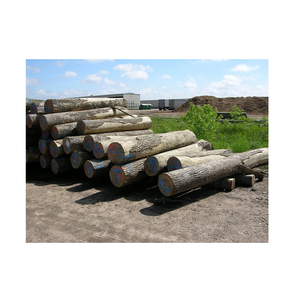 Premium <b>Timber</b> Logs Forestry Grade For Construction And Processing Export - Product Image 4