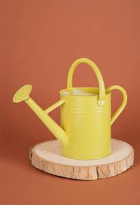 Arrosoir en métal jaune avec finition peinte durable pour usage de jardinage - Product Image 1