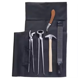Kit de Herramientas Quirúrgicas para Herradores, Herramientas para Recortar Pezuñas, Instrumentos Veterinarios para el Cuidado de Patas Equinas, Suministros de Podología, Juego Profesional - Product Image 2