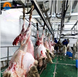 Machine d'abattage de chèvres, équipement d'abattage de moutons, abattoir de mouton à vendre, mini-équipement d'abattoir - Product Image 1