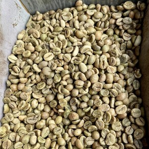 Premium Vietnam Robusta Green Coffee <b>Beans</b> Size 18 Vietnam coffee Instant Bulk Export High Caffeine Coffee Supplier - Product Image 5