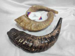 Ultimate Norse Viking Inspired <b>Drinking</b> <b>Horn</b> 100% Genuine Buffalo Ox <b>Horn</b> For A True Medieval Feel While <b>Drinking</b> Mead Or Beer - Product Image 4