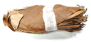 Soursop ตัดใบแห้ง graviola ตัดอย่างดีสำหรับชาและถุง TA ใบแห้งตามธรรมชาติใบตัดละเอียด3มม. - Product Image 6