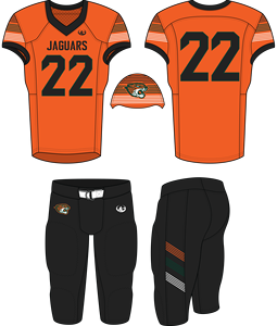 Customized Eagle Design Adult Football Uniform with Spandex/Polyester Material Anti-Bacterial & Breathable Features - Product Image 5