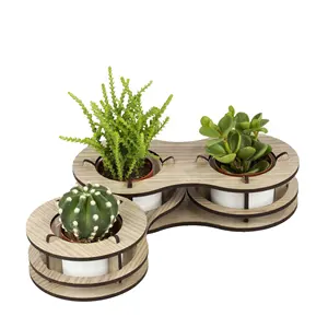 Drie Potten Beweegbare Houten Bloempot 2.3 Inch Unieke Bloem Box Indoor Plant Houder Voor Kleine Bloem Hout Home Decor